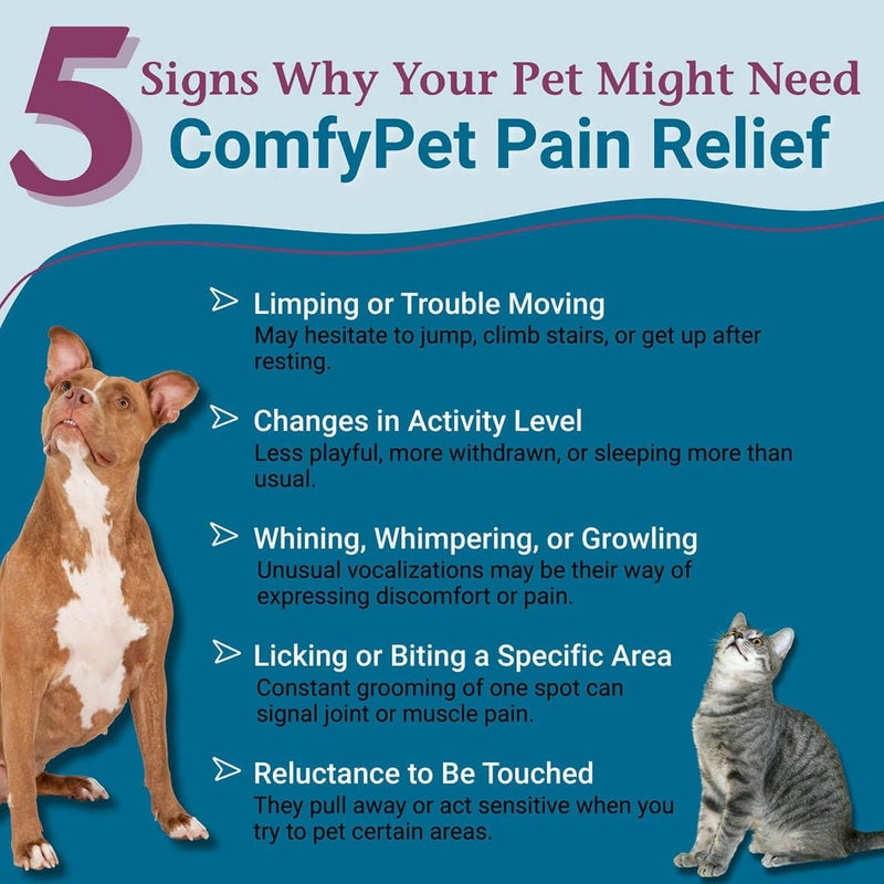 PetAlive ComfyPet Pain Relief for Dogs & Cats â€“ Natural Homeopathic Supplement for Pet Joint & Mobility Support â€“ 2 fl oz Drops â€“ Made in USA - Image 2